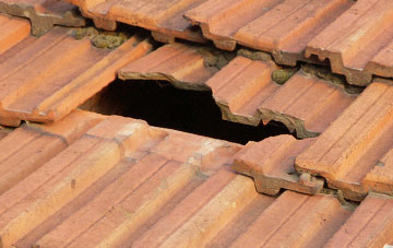 roof repair Wiston Mains, South Lanarkshire